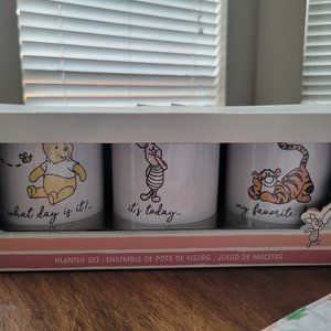 Winnie the Pooh Planter Set